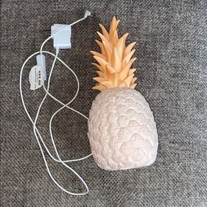 Pineapple light up lamp